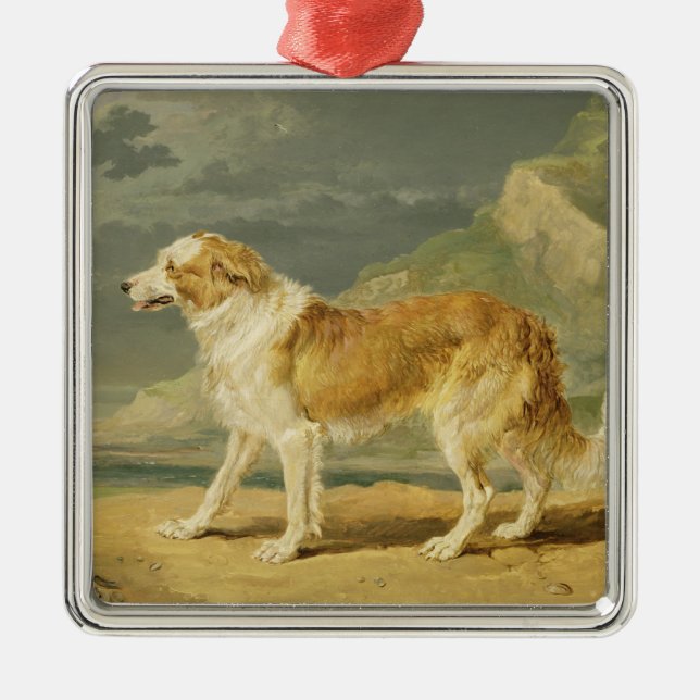 Ornamento De Metal Collie Áspero-revestido, 1809 (óleo a bordo) (Frente)