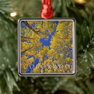 Ornamento De Metal Colorado Outono Floresta de Aspen no Outono