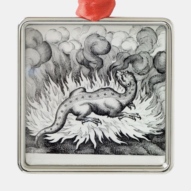 Ornamento De Metal Como as vidas da salamandra no fogo (Frente)