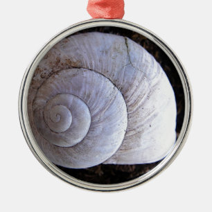 Ornamento De Metal concha legal