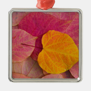 Ornamento De Metal Cor de outono no Forest Pansy Redbud caído