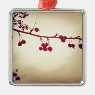 Ornamento De Metal Cor em um dia de inverno aborrecido