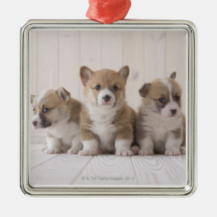 Ornamento De Metal Corgi de três Galês