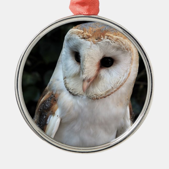 Ornamento De Metal Coruja de celeiro branca (Frente)