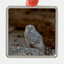Ornamento De Metal Coruja de neve sentada numa rocha