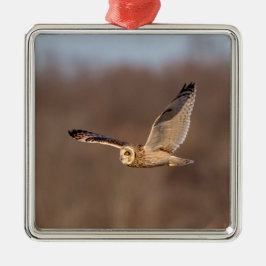 Ornamento De Metal Coruja-de-orelha-curta em voo