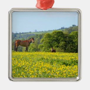 Ornamento De Metal Cotswolds, Reino Unido