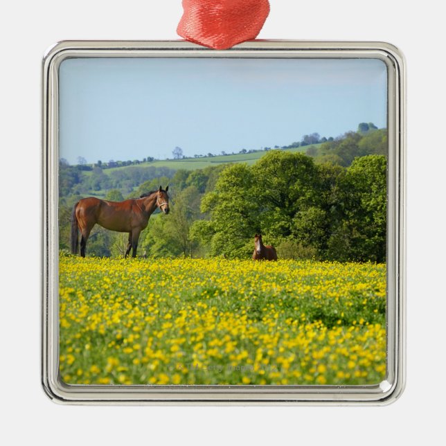 Ornamento De Metal Cotswolds, Reino Unido (Frente)