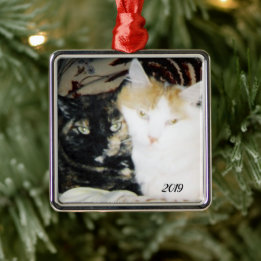 Ornamento De Metal Cozy Cheek para Cheek Cats Foto com Ano