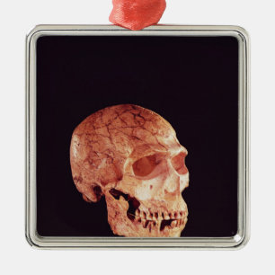 Ornamento De Metal Crânio do Neanderthal, descoberto em Mt Carmel