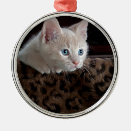 Ornamento De Metal Creme Kitten com Belos Olhos Azuis
