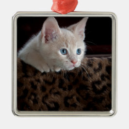 Ornamento De Metal Creme Kitten com Belos Olhos Azuis