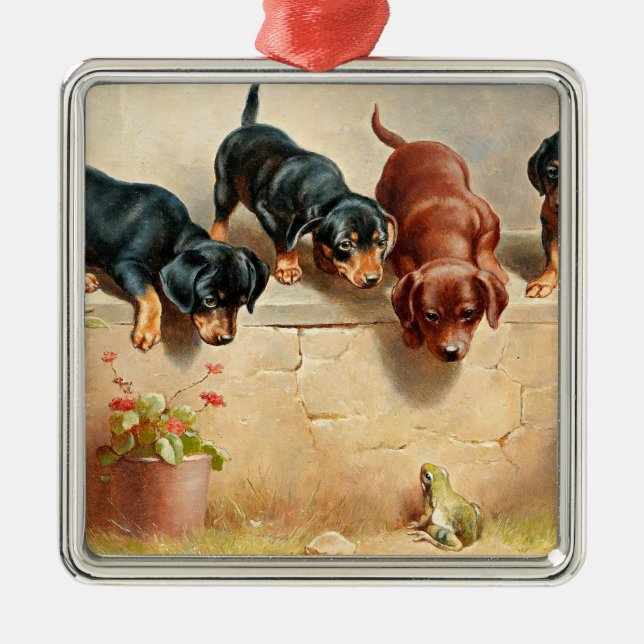 Ornamento De Metal Curioso Dachshund Puppies e um Sapo (Frente)