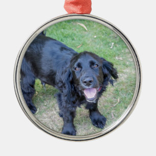 Ornamento De Metal Cute Black Puppy