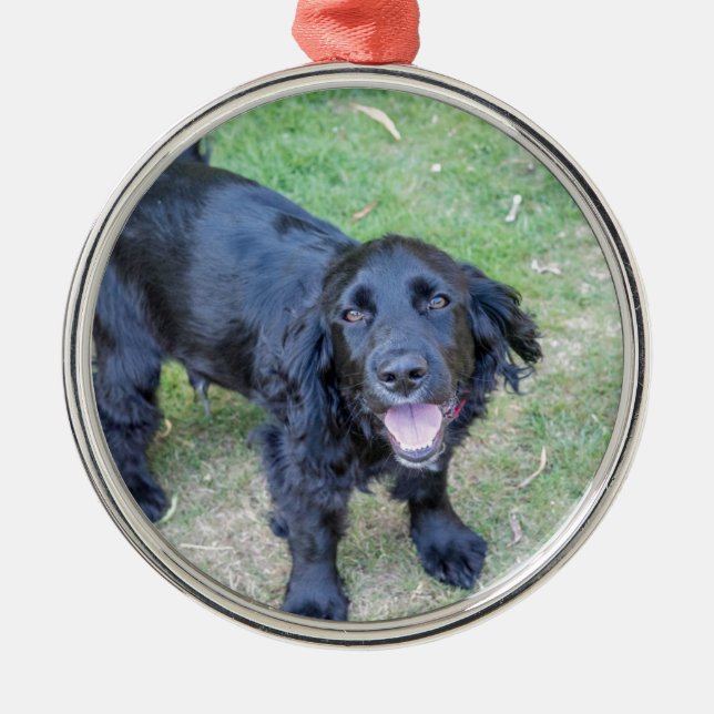 Ornamento De Metal Cute Black Puppy (Frente)