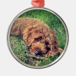 Ornamento De Metal Cute Golden Doodle Premium