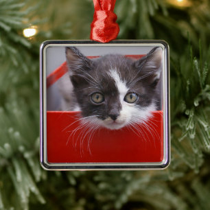 Ornamento De Metal Cutest Baby Animals Black & White Kitten