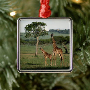 Ornamento De Metal Cutest Baby Animals   Giraffe Calf & Mama