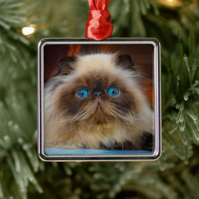 Ornamento De Metal Cutest Baby Animals | Himalayan Cat (Árvore)