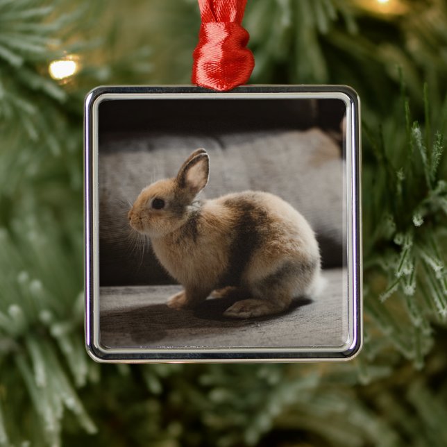 Ornamento De Metal Cutest Baby Animals | Netherland Dwarf Rabbit (Árvore)