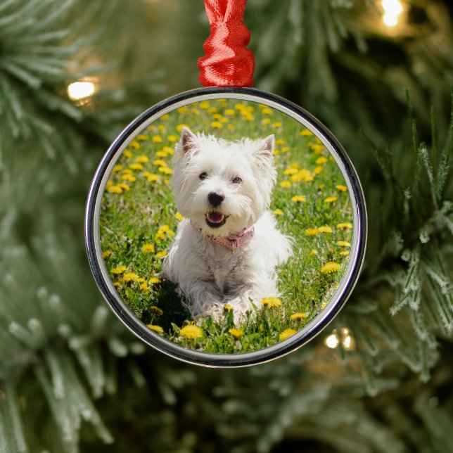 Ornamento De Metal Cutest Baby Animals | Westie Dog in Dandelions (Árvore)