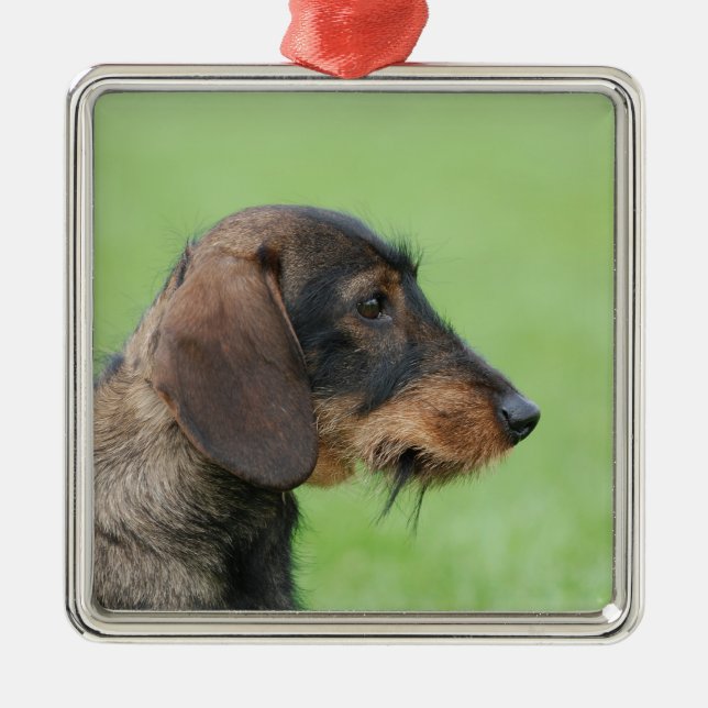 Ornamento De Metal Dachshund (Frente)