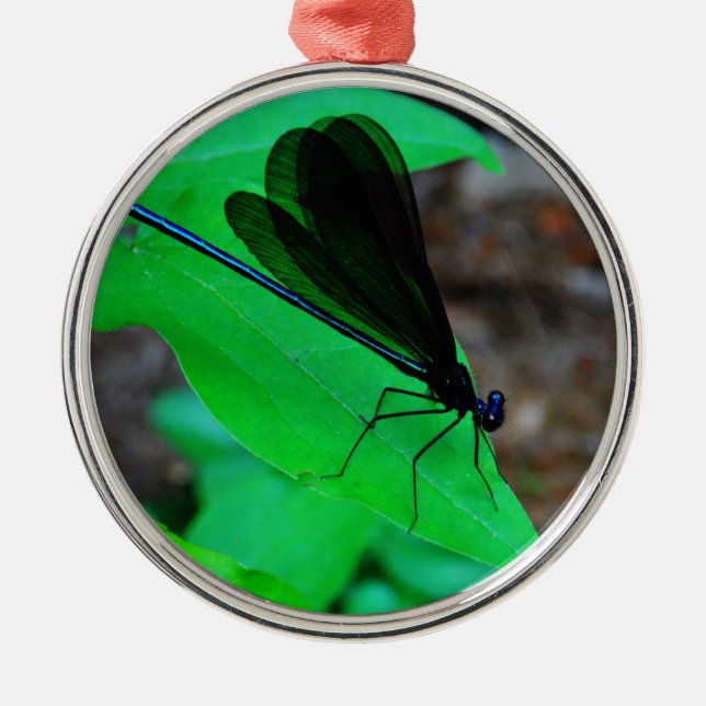 Ornamento De Metal Damselfly azul em uma folha verde. (Frente)