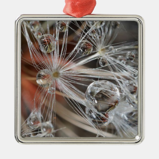Ornamento De Metal Dandelion Abstrato (Frente)