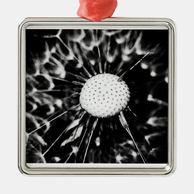 Ornamento De Metal dandelion blacq (Frente)