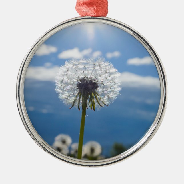 Ornamento De Metal Dandelion Na Luz (Frente)