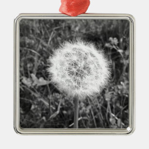 Ornamento De Metal Dandelion preto e branco