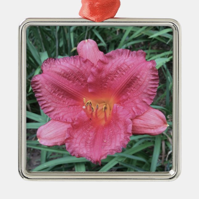 Ornamento De Metal DAYLILY "Little Gordo Dazzler" (Frente)