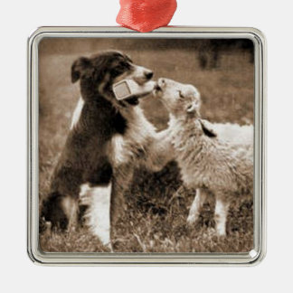 Ornamento De Metal De "ornamento do Collie do ~Border border collie e