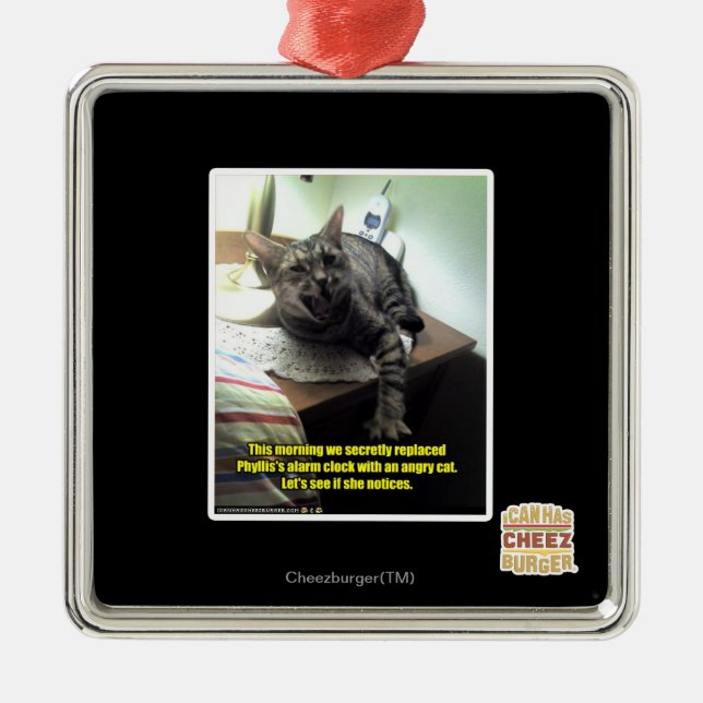 Ornamento De Metal Deixe-nos ver se observa (Frente)