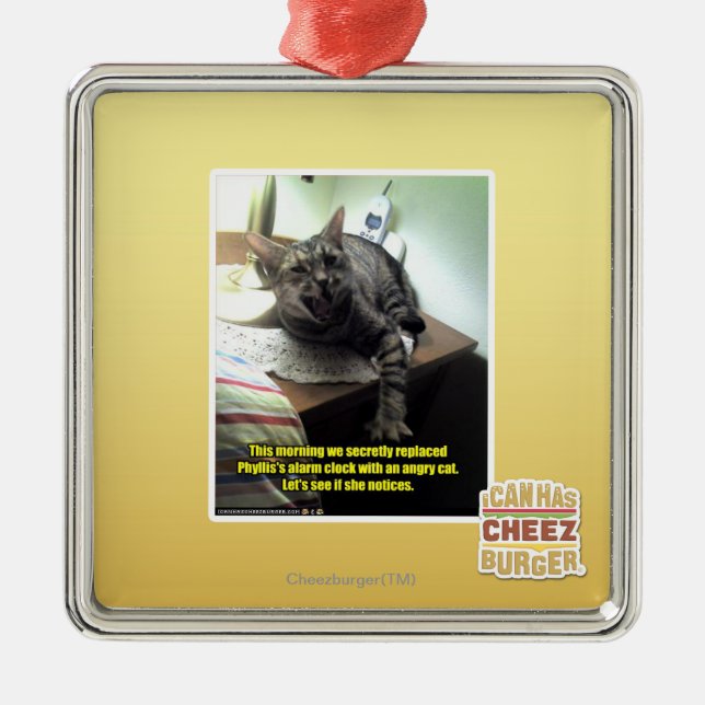 Ornamento De Metal Deixe-nos ver se observa (Frente)