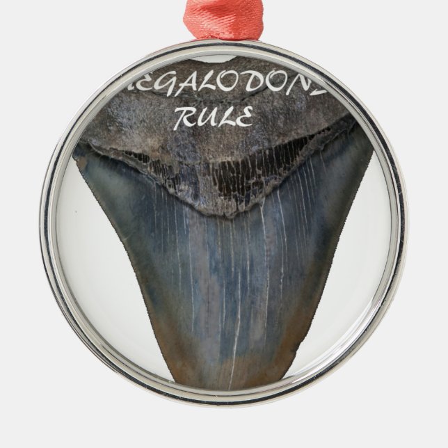 Ornamento De Metal Dente do tubarão de Megalodon (Frente)