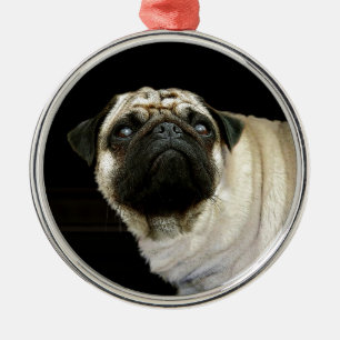 Ornamento De Metal Desenhos de cães para amantes de animais de compan