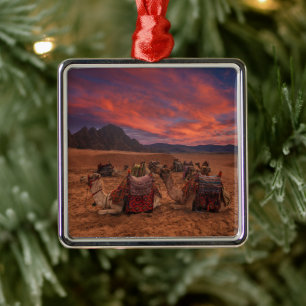 Ornamento De Metal Desertos Camels Sinai Mounts Egito