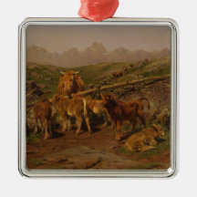 Desmame dos vitelos (Fazenda de gado rural)