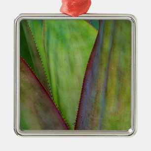 Ornamento De Metal Detalhe da Planta Agave