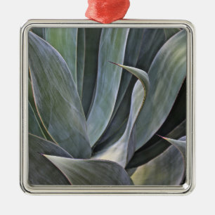 Ornamento De Metal Detalhe desvanecido de Succulant, 2017