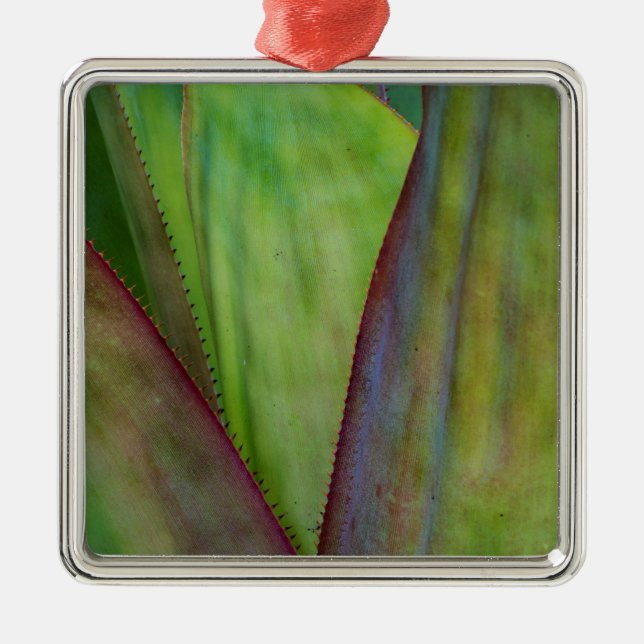 Ornamento De Metal Detalhes da Planta Agave (Frente)