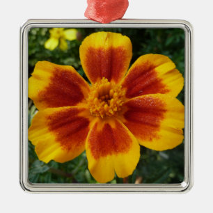 Ornamento De Metal Disco Marigold Orange and Red Summer Flower