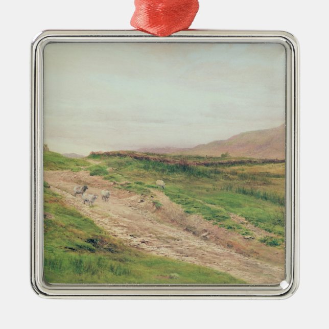 Ornamento De Metal Distrito do lago (Frente)