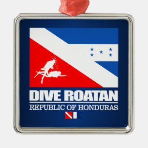 Ornamento De Metal Dive Roatan (q)