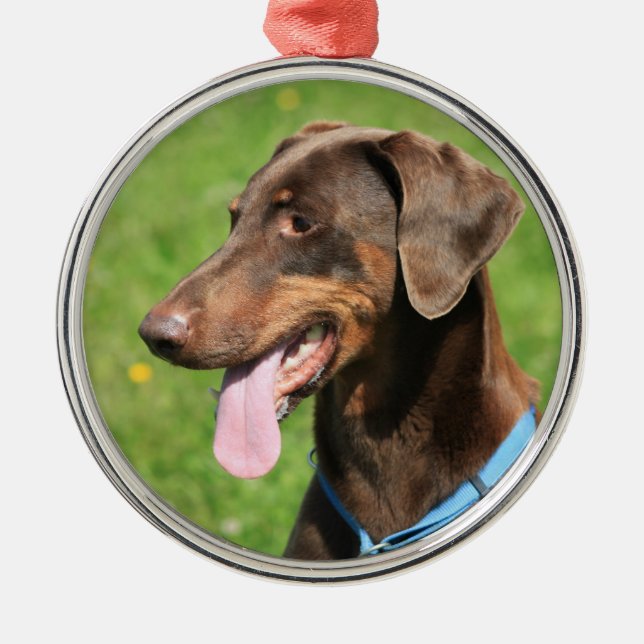 Ornamento De Metal Doberman vermelho (Frente)