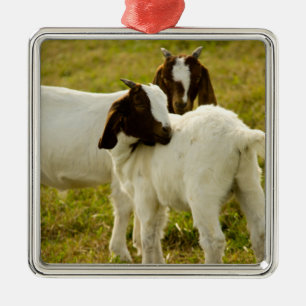 Ornamento De Metal Dois Caprinos