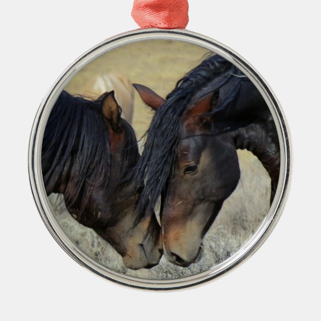 Ornamento De Metal Dois cavalos selvagens de Brown que Nuzzling (Frente)