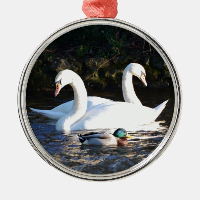 Ornamento De Metal Dois Cisnes E Um Pato (Frente)