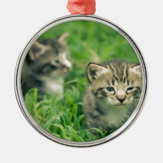 Ornamento De Metal Dois gatinhos brincando na grama